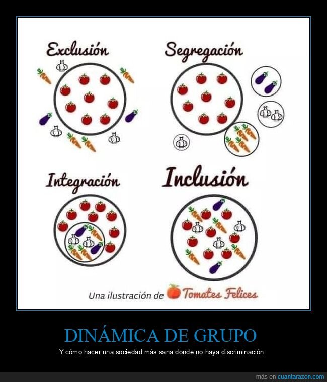 grupos,exclusión,segregación,integración,inclusión