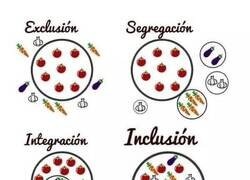 Enlace a Conoce las diferencias