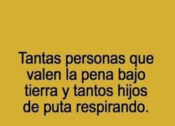 Enlace a Siempre se van los mejores...