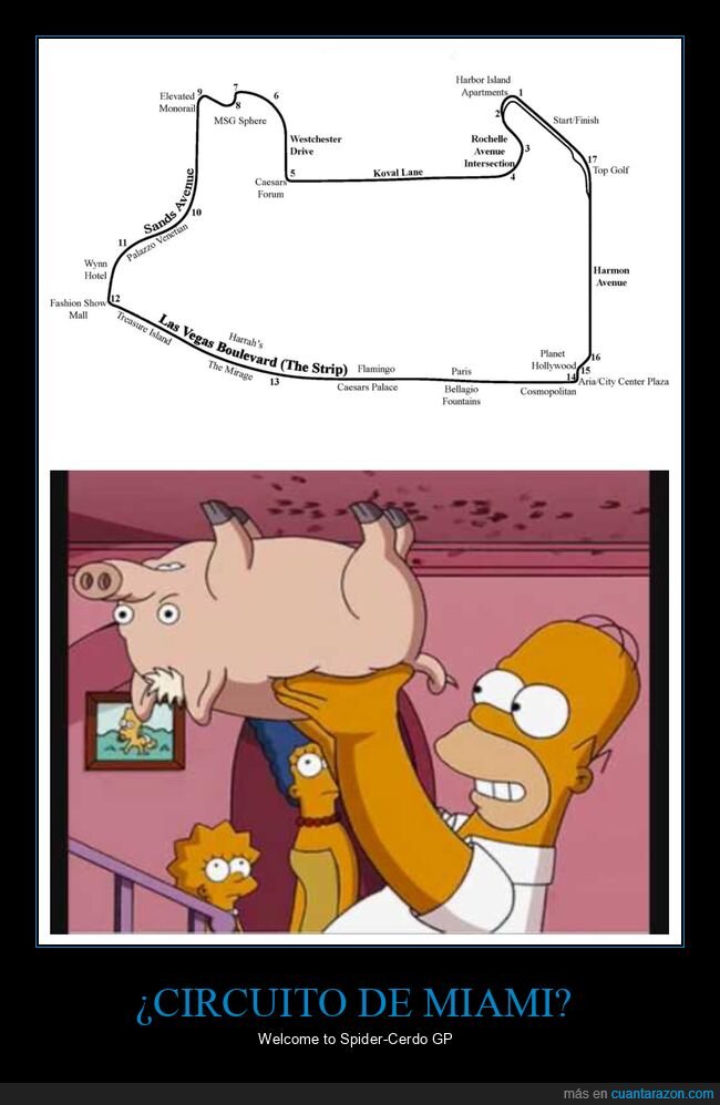 circuito de miami,spidercerdo,parecidos,simpsons