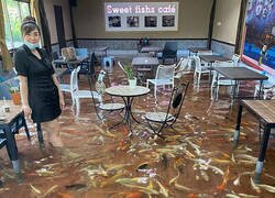 Enlace a Café con peces