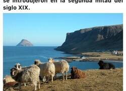 Enlace a Lítla Dímun es una pequeña isla a la que solo podrás acceder con cuerdas