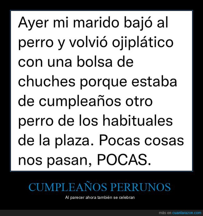 cumpleaños,perros