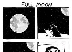 Enlace a Aprovechando la luna llena
