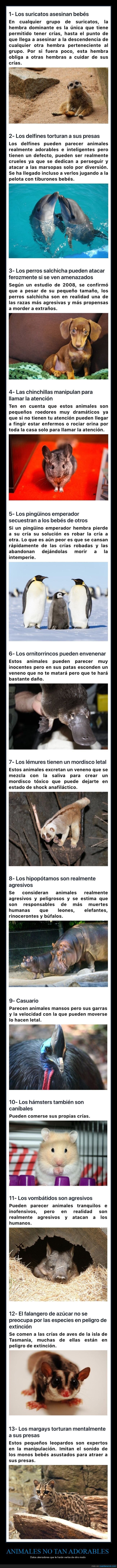 animales,datos aterradores