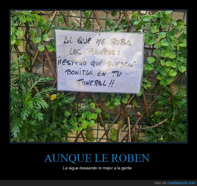 robar,plantas,funeral,carteles