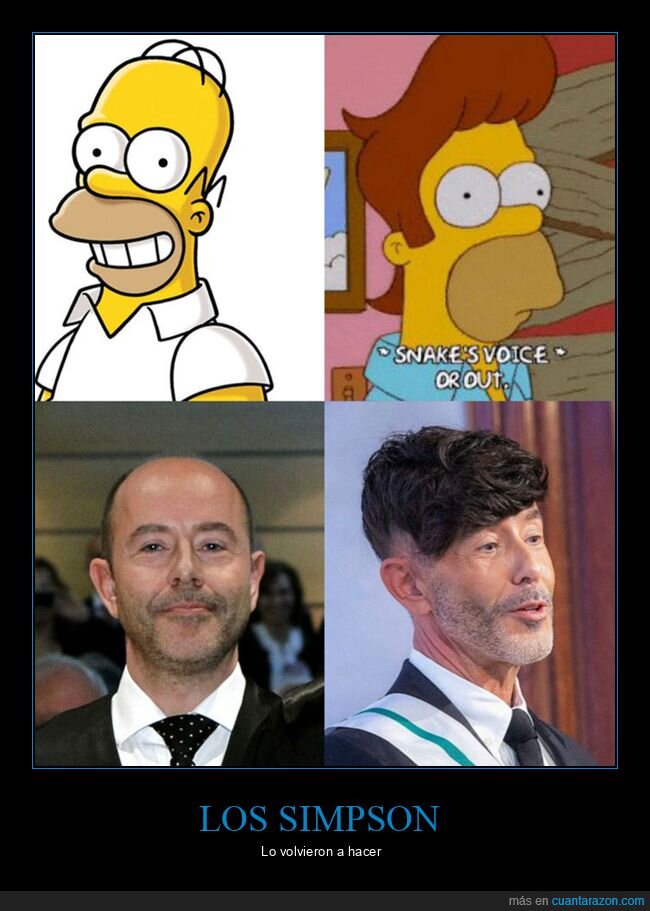 fiscal,parecidos,peluca,simpsons