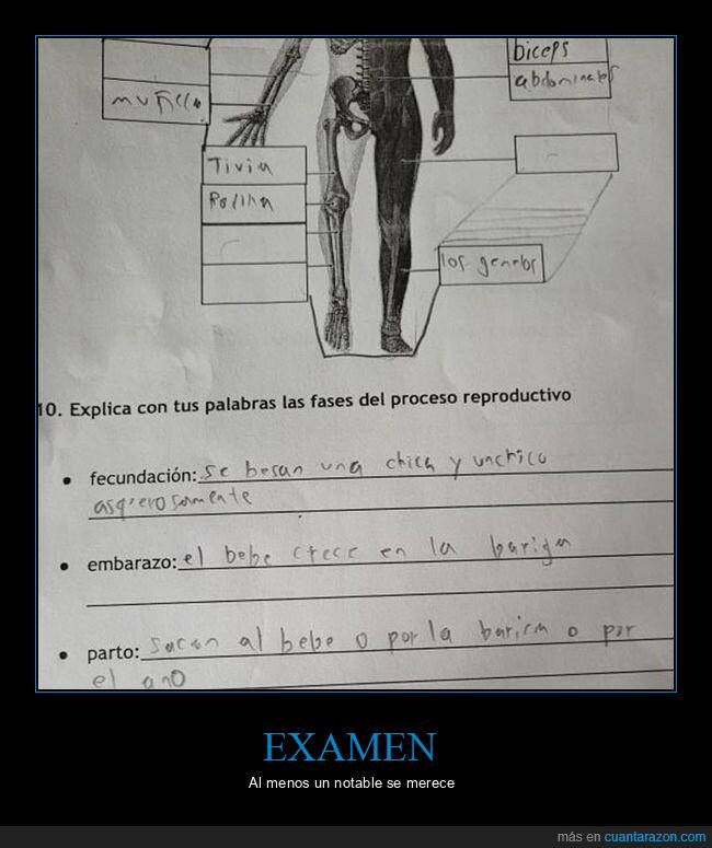 examen,niño,wtf