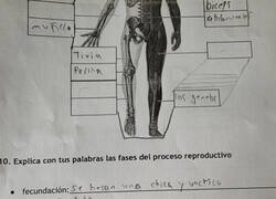 Enlace a Experto en la materia