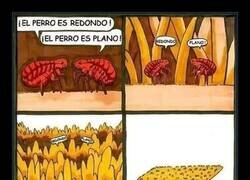 Enlace a Certidumbres relativas