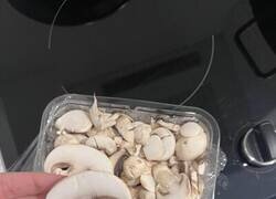 Enlace a Sentimientos de traición