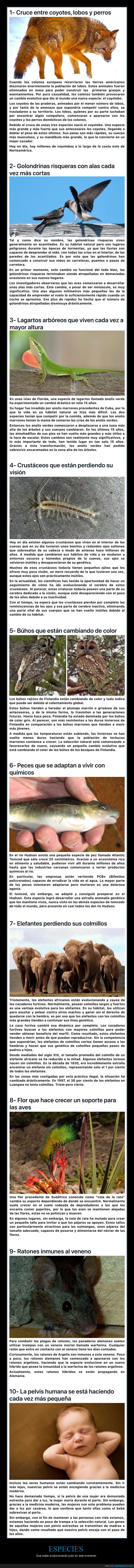 especies,evolucionando