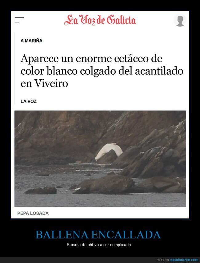 ballena,acantilado