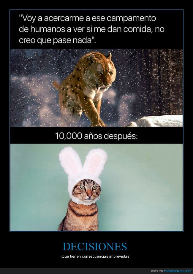 smilodon,gato,evolución,humanos,comida