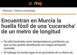 Enlace a Vestigios de una cucaracha gigante murciana