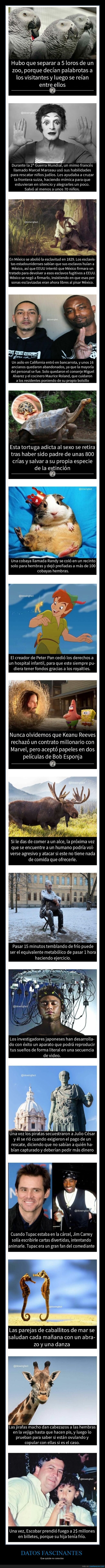 datos interesantes,curiosidades