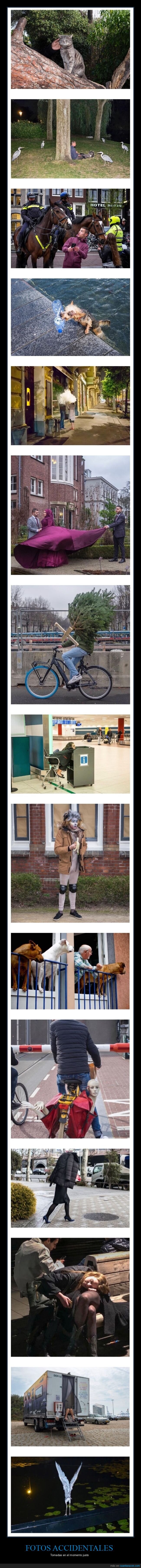 fotos accidentales,momento justo