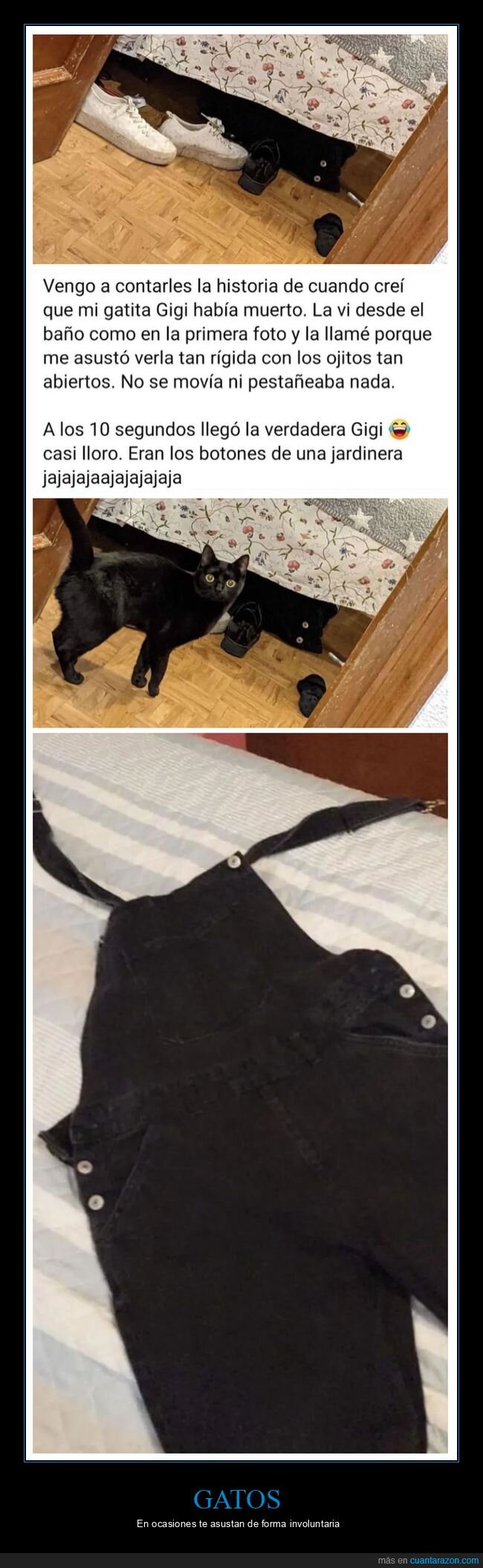 caretos,gatos,mindfuck