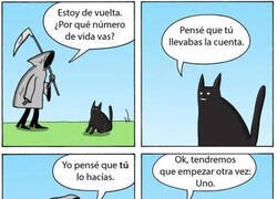 Enlace a Engañando a la muerte