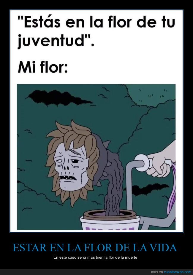 flor,juventud