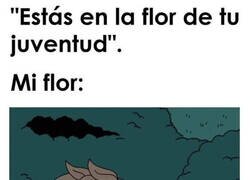 Enlace a La flor de la juventud