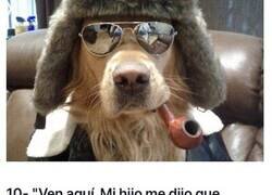 Enlace a Perros que se creen persona
