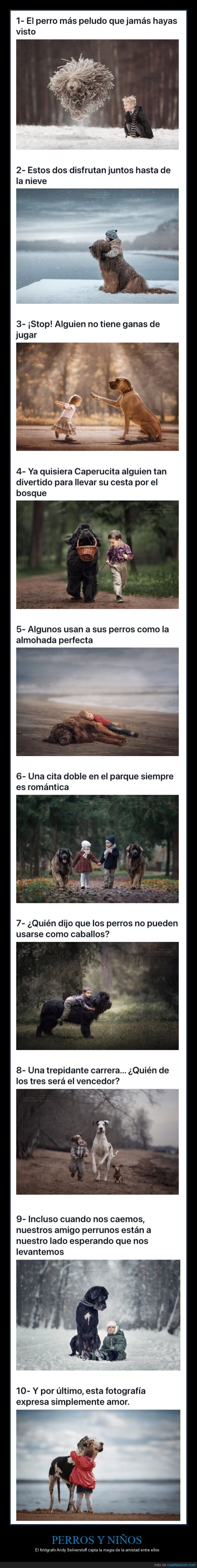 perros,niños,amistad