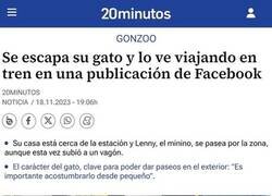 Enlace a Gato viajero