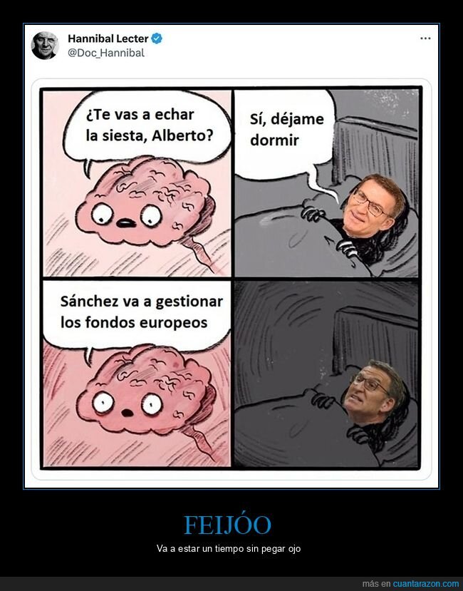 cerebro,dormir,feijóo,pedro sánchez,políticos