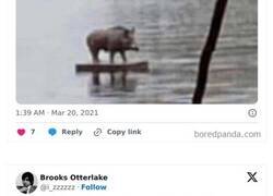 Enlace a Bromas inocentes pero igualmente divertidas