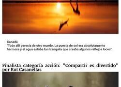 Enlace a Estos son los ganadores de los Premios de Fotografía de Perros de 2023