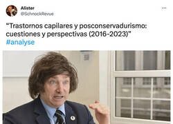 Enlace a Peinados estrafalarios en política