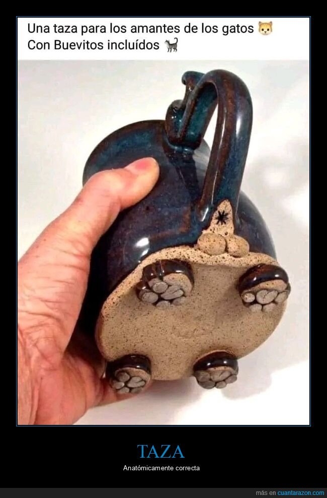 gatos,taza,wtf