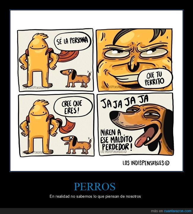 perro,pensar