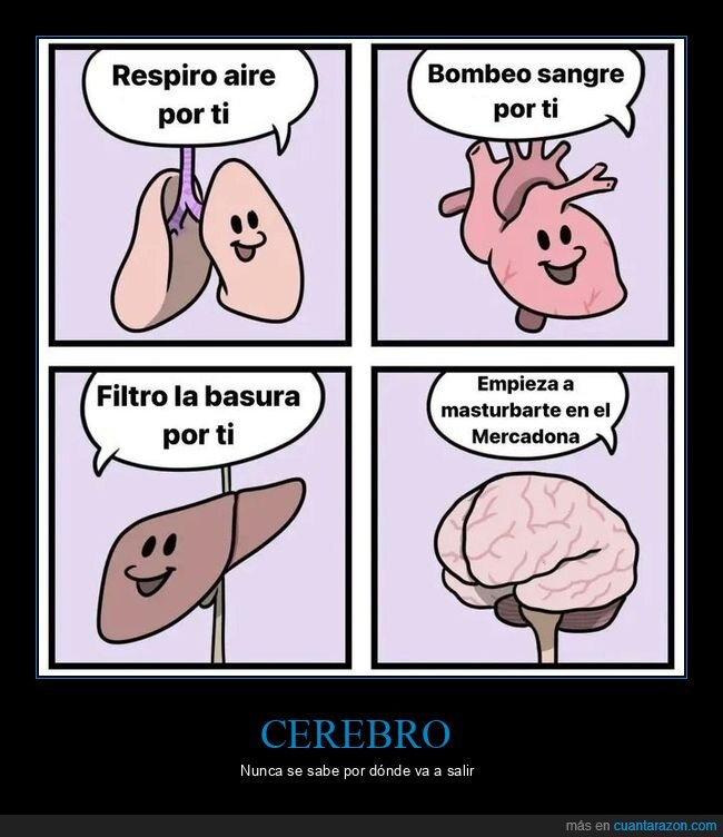 cerebro,mercadona,órganos