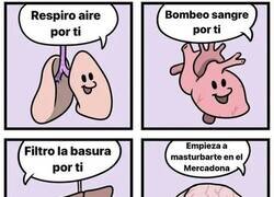 Enlace a Órganos que hacen cosas por ti