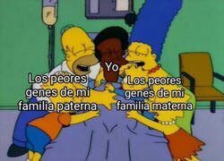 Enlace a Gracias, genética...