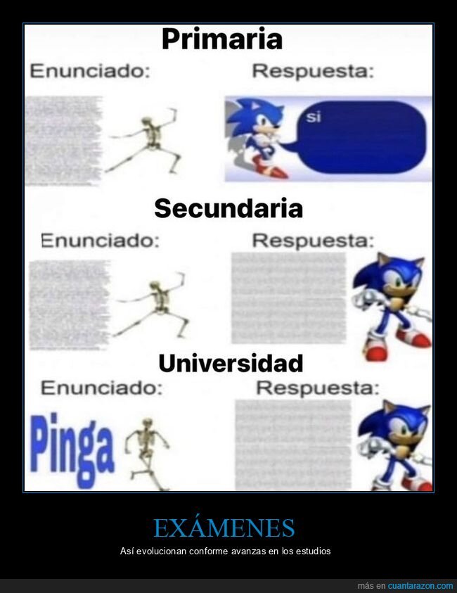 exámenes,primaria,secundaria,universidad