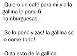 Enlace a Gallina con ganas