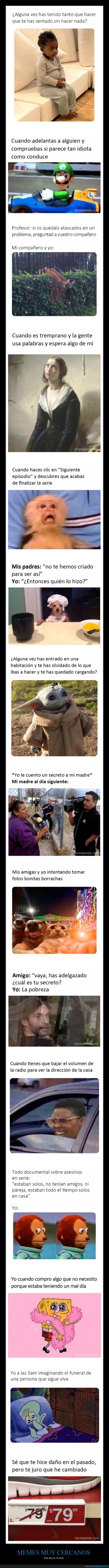 memes,cercanos,acertados