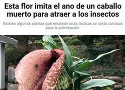 Enlace a La naturaleza es hermosa