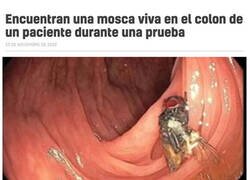 Enlace a Sorpresa inesperada