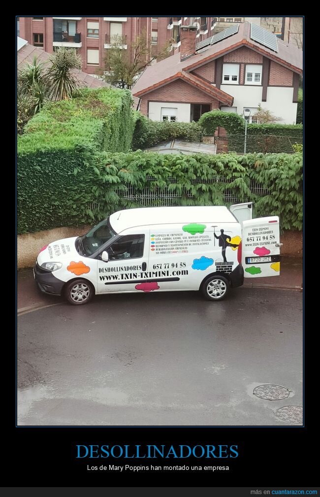 desollinadores,nombres