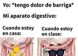 Enlace a Siempre tan oportuno...