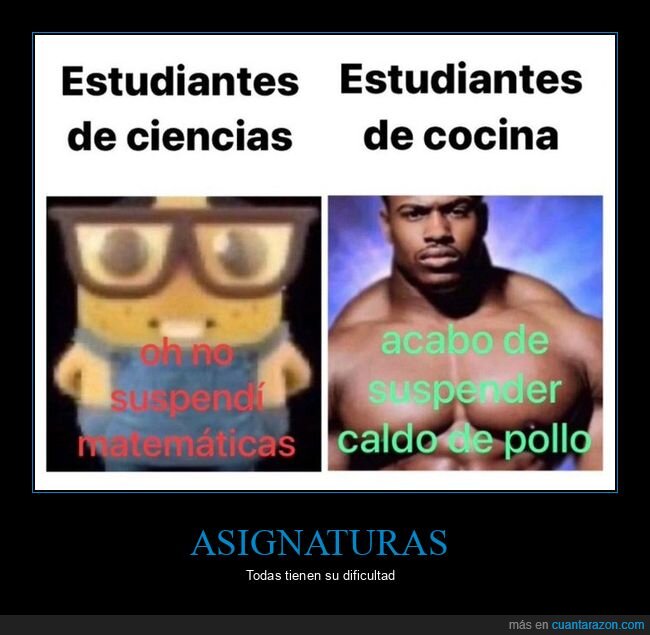 estudiantes,ciencias,cocina,suspender,matemáticas,caldo de pollo