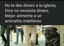 Enlace a Escoge tu buena obra