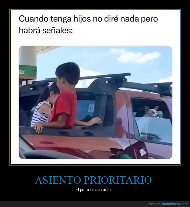 hijos,perro,coche