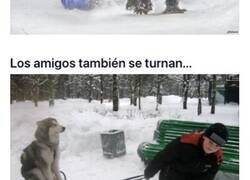 Enlace a Adorables situaciones entre niños y sus perros que te alegrarán el día