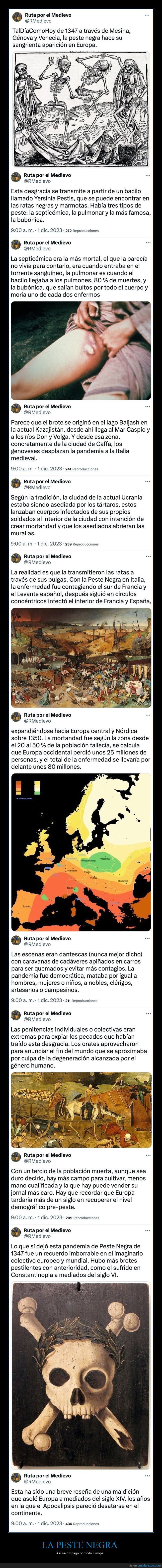 peste,edad media