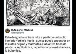 Enlace a Así se propagó la Peste Negra por toda Europa